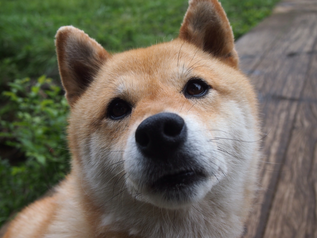 边锋内切后是否必须具备中场组织视野,内切型边锋 内锋