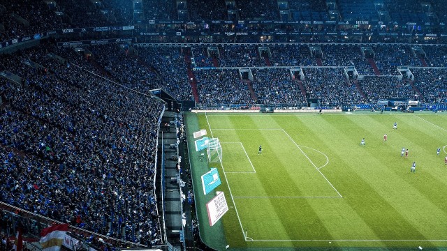 开云kaiyun-“美洲狮队在冠军赛中的坚韧表现令全世界震惊”